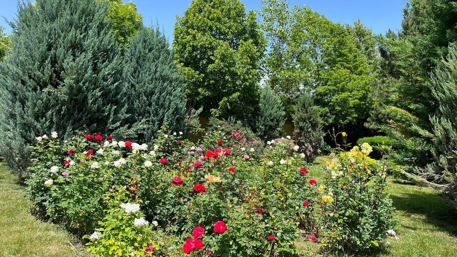 Vilă de lux mobilata/utilata cu terasa+foisor, garaj,gradina si livada - Poză 16