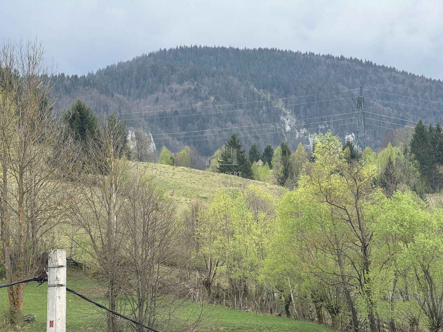 CASA DE VACANTA ZONA RUCAR - POSADA - Poză 48