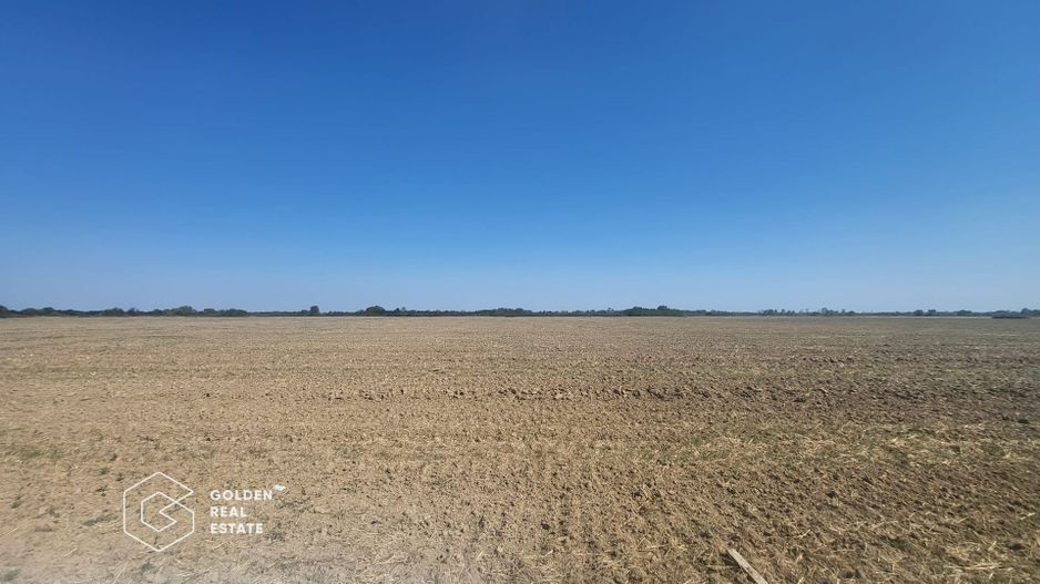 Teren Mosnita Noua, 11600 mp - Poză 3