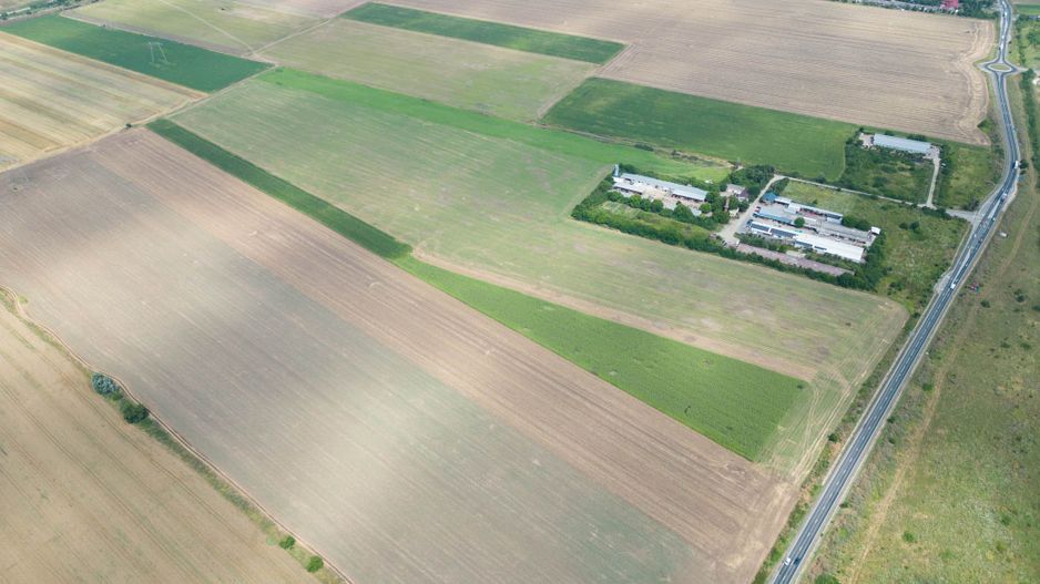 Teren extravilan 12.000 mp DN79 Arad-Oradea - Poză 11