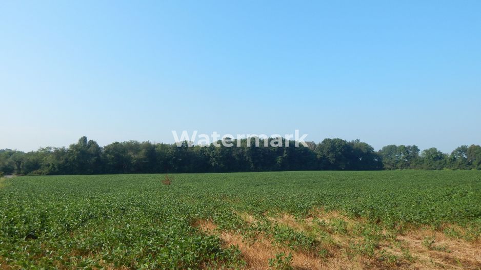 Teren cu PUZ de vanzare in Grigorescu - Poză 3