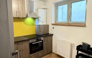 Apartament 2 camere de închiriat Parcul Carol - Poză 3