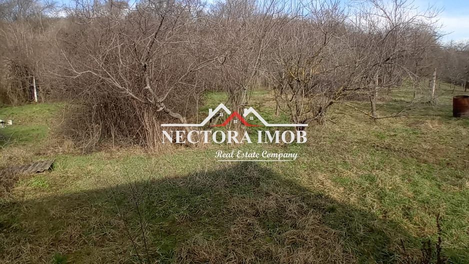 NECTORA IMOB-Teren Intravilan Zona Facliei, Teren Plat,460 mp,F:29 ml - Poză 3