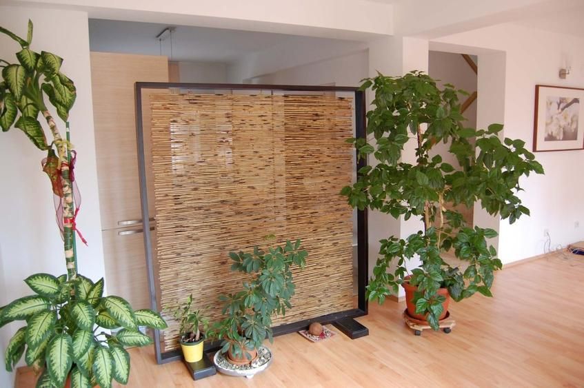 Vila cocheta 3 camere in cartierul Azur, Pipera - Poză 2