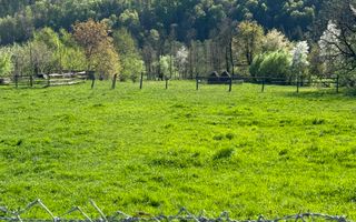 TEREN INTRAVILAN 2592 MP,  ALBESTI DE MUSCEL, ARGES - Poză 12