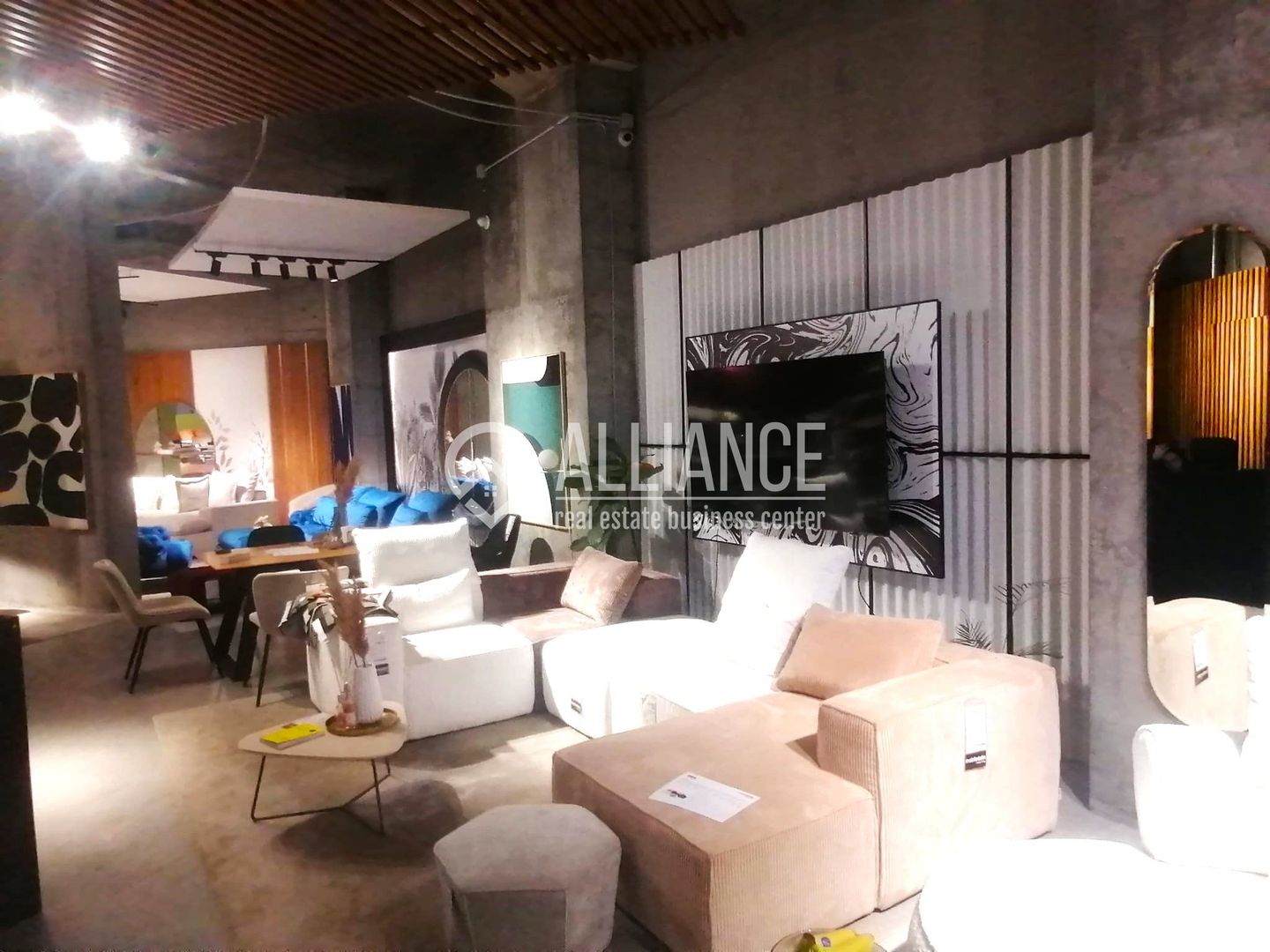 Spatiu comercial de inchiriat- (cod10)- EUROMATERNA - Poză 12