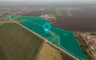 Teren 76.000mp între Sântana și Caporal Alexa - Poză 1