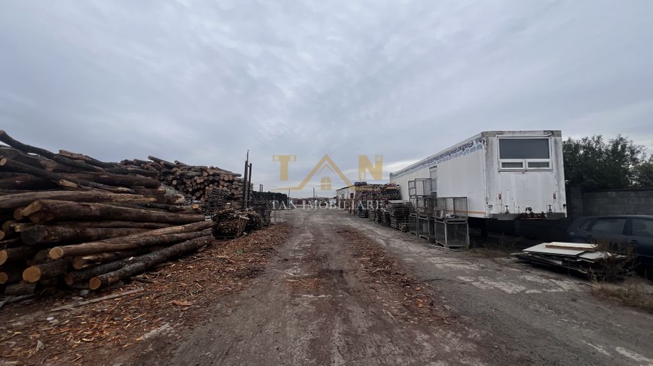 Teren industrial 17770MP Sacalaz ( Fosta ferma de Porci) - Poză 6