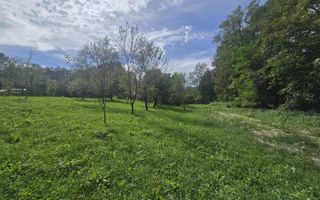 Oportunitate de investiție în Breaza – teren intravilan de 3.591 mp - Poză 1