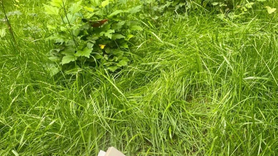 2 camere parter | pet friendly | acces gradina Floreasca - Garibaldi - Verdi - Poză 12