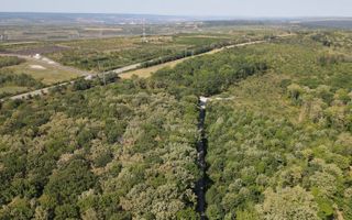 Vânzare, teren pentru construcție, 9.21 ha, Micăuți, Sireț - Poză 4