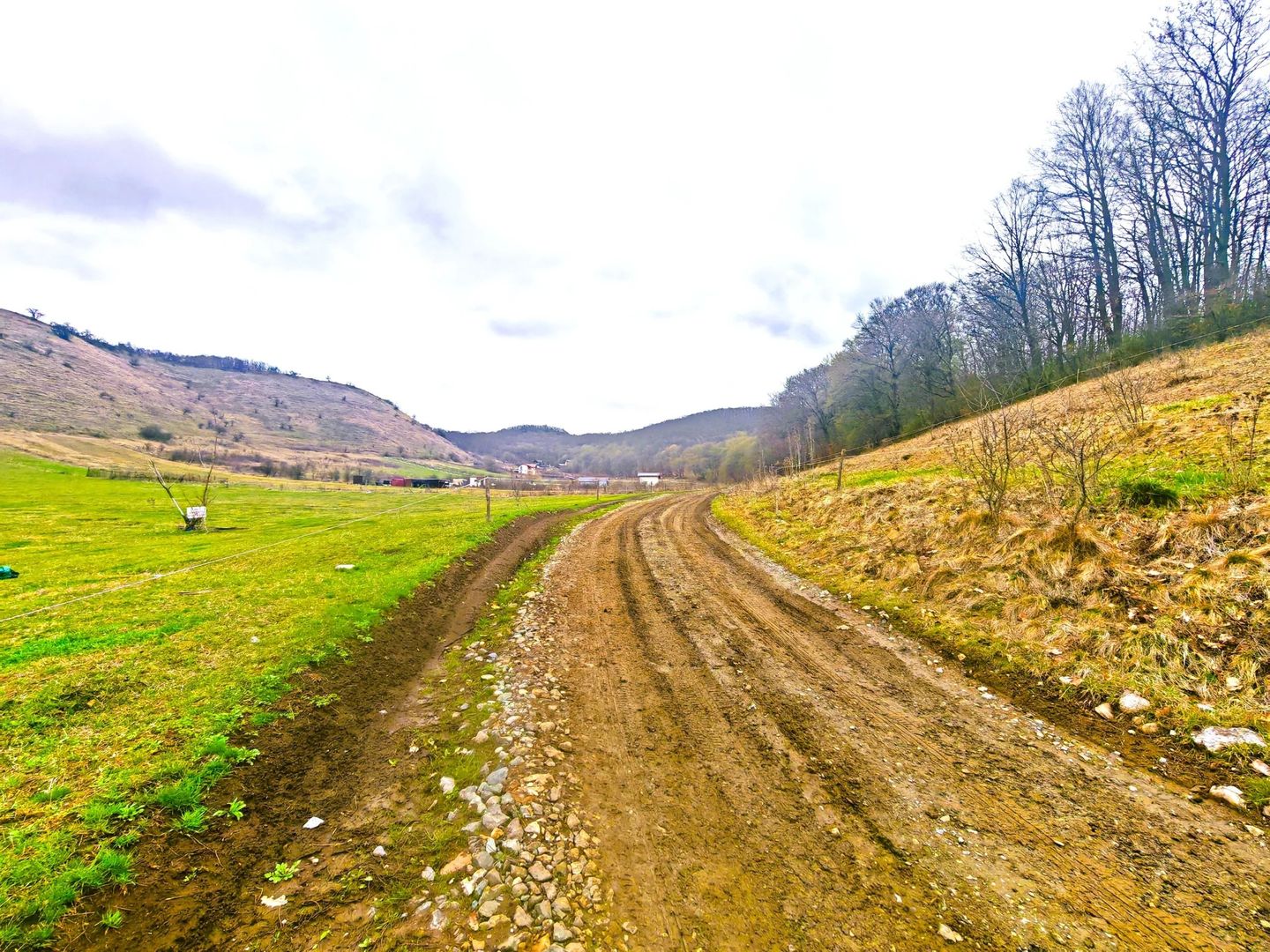 2071 mp TEREN FLORESTI–TAUTI, jud. CLUJ, 1,3 km de viitorul METROU - Poză 7