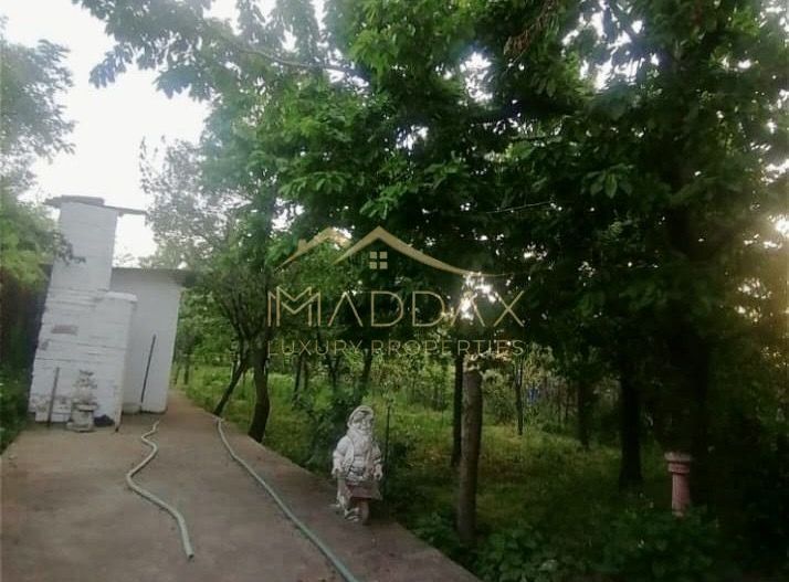 Vila 9 camere***gradina cu pomi fructiferi//1085 mp teren***Dragomiresti-Deal - Poză 16