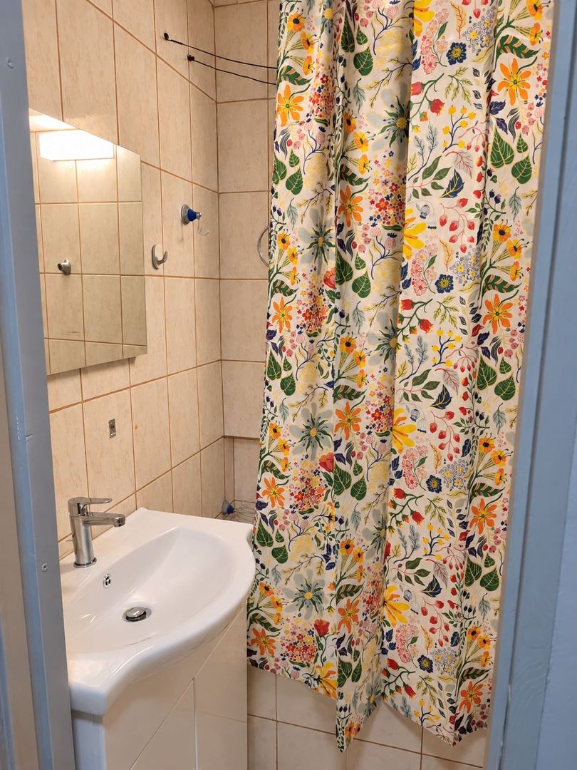 Șagului | Intrarea Castanilor | 3 Camere | Recent renovat | Pet Friendly - Poză 12