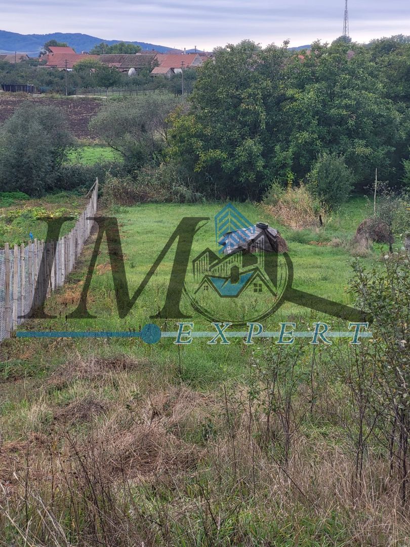 TEREN INTRAVILAN DE VANZARE IN CUT - Poză 1