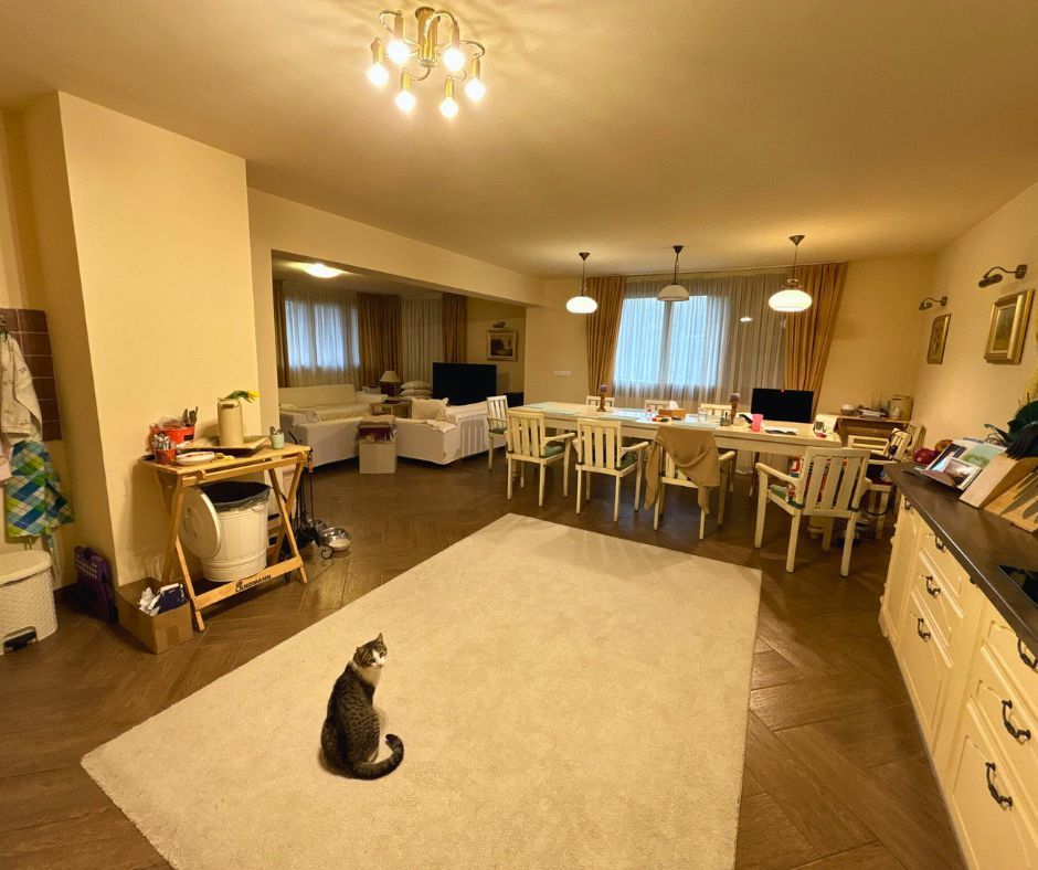 Vilă cu 10 camere P+2E+M 400 M² utili 2800 M² Teren Comandau - Poză 8