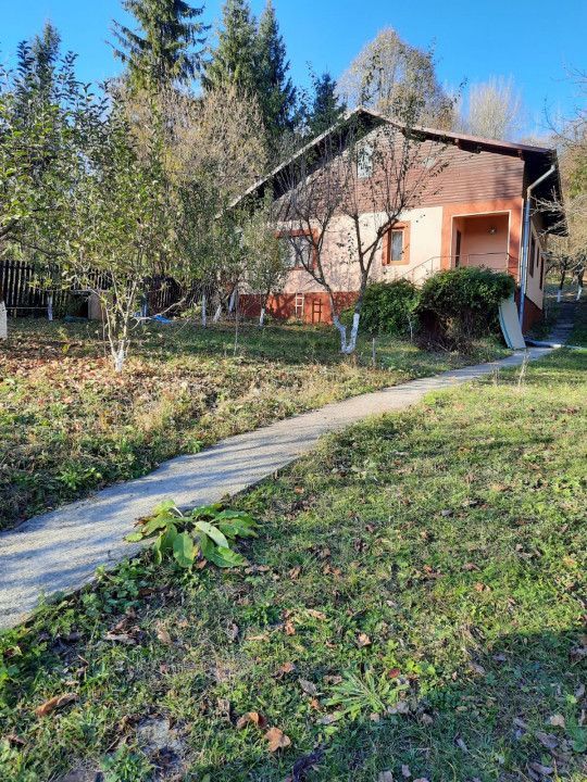 Casa 4 camere, teren 1960m2, CT, Provita, Prahova - Poză 3