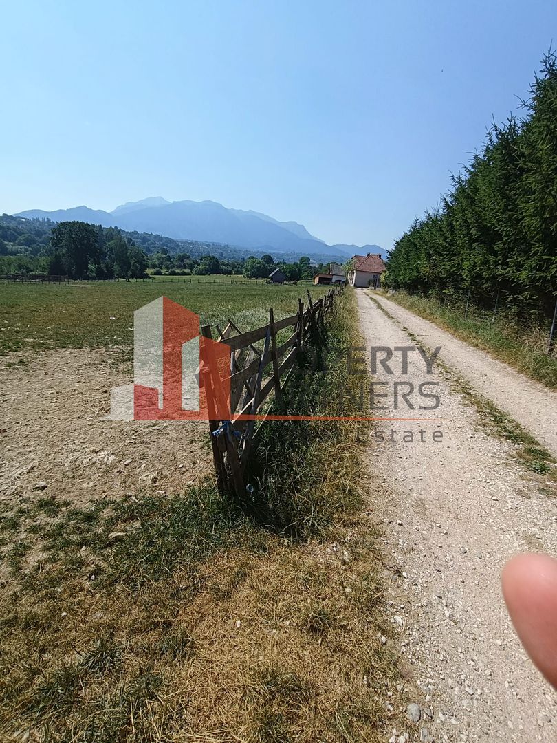 Teren 1.500 mp Sohodol – Bran Vedere Panoramică Bucegi - Poză 4