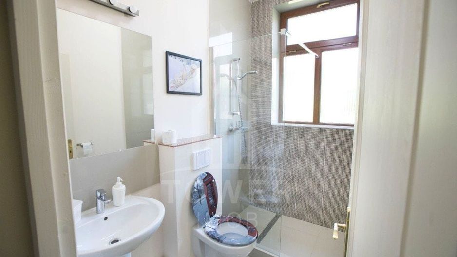 Apartament 3 camere la casă, curte proprie, Parcul Sub Arini - Poză 4