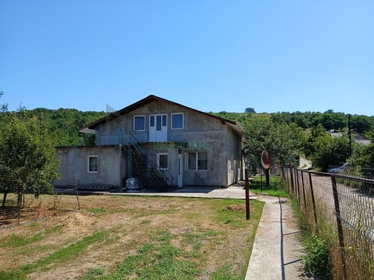 Casă de vânzare – Lunca Cetățuii, comuna Ciurea - Poză 2