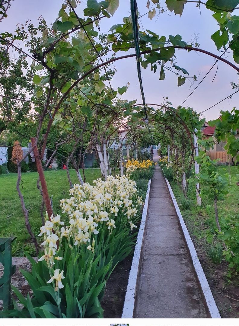 Casa | 9 camere | Garaj | Piscina | Teren 3.000 mp | Comision 0% - Poză 5