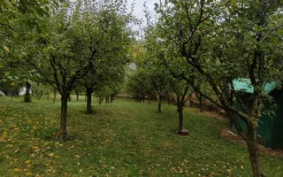 Proprietate deosebită | Casă P+E | Lunca Mare, Valea Doftanei - Poză 19