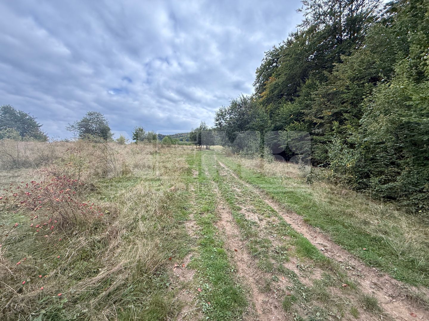 Teren de vânzare în Putna | 6.400 mp | 56 m front stradal - Poză 4
