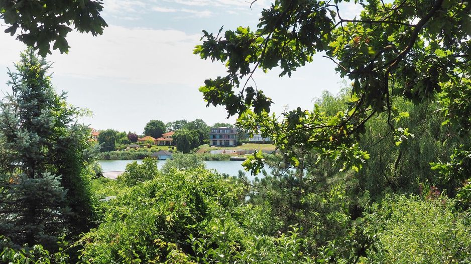 Vila 6 camere-teren 1800mp-Snagov Izvorani-lac - Poză 13