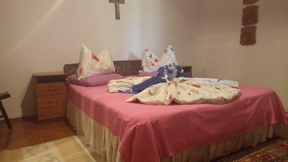 Casa de vanzare Tulcea / MAHMUDIA - Poză 9