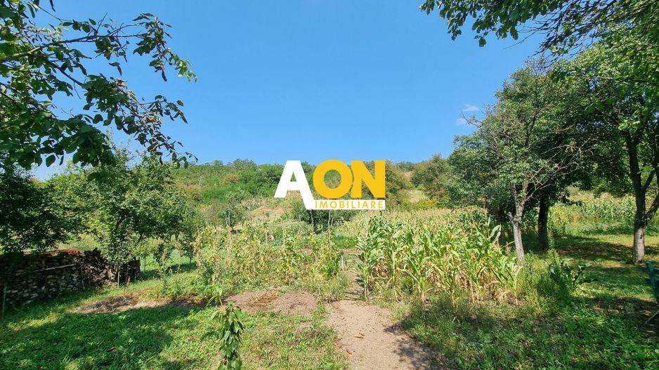 De vanzare casa 4 camere, 2150mp teren, Oarda de Sus - Poză 3