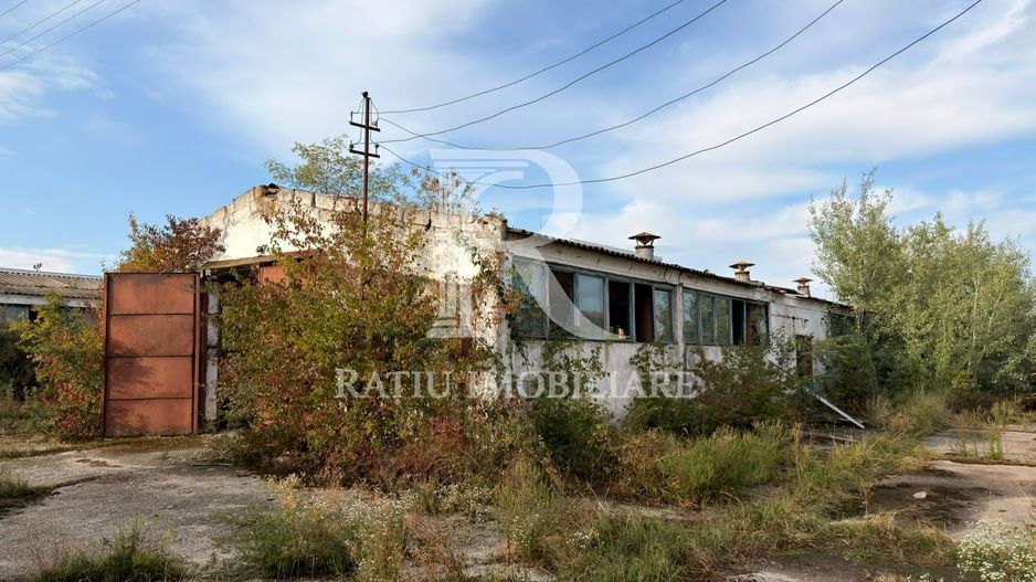 Fermă Sărand | Bihor | 25.659 mp teren intravilan - Poză 14