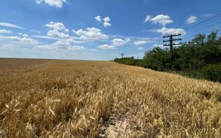 Teren arabil in Nojorid. Investiție sigură la preț excelent - Poză 1