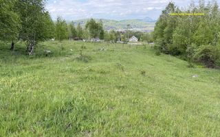 Teren intravilan 5.261 mp Tohănița | Deschidere 49 m | Utilități, lângă pădure - Poză 7