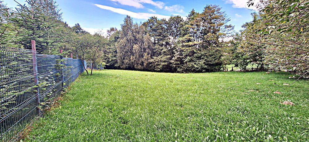 Bran Predelut teren intravilan de 2000mp, pret 27 euro/mp - Poză 8