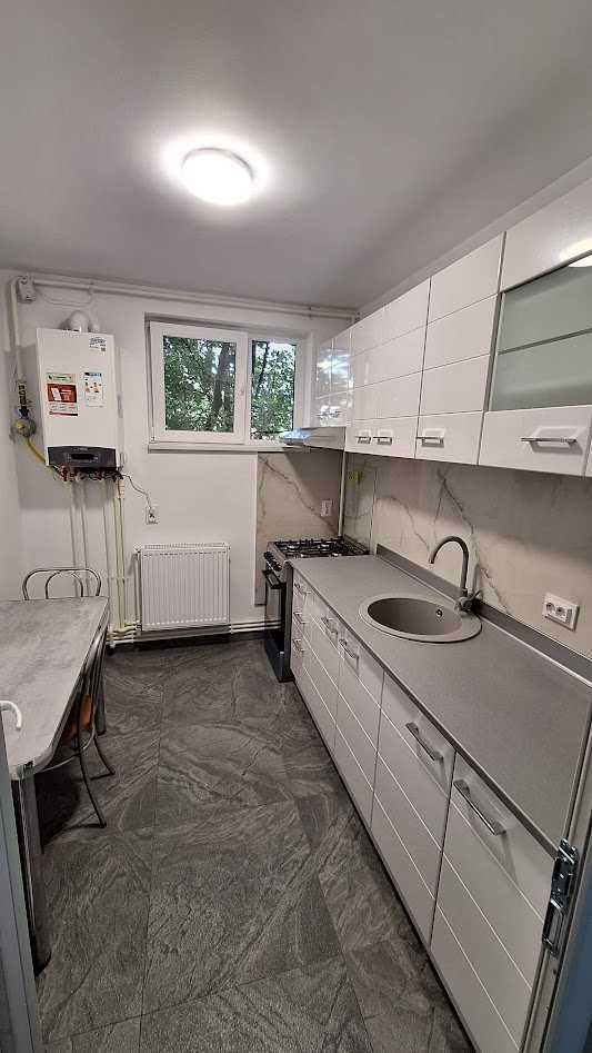 Apartament 2 Camere in Rovine - Poză 5