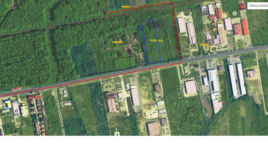 Calea Lugojului | Teren intravilan pentru servicii de 11.509 mp - Poză 2