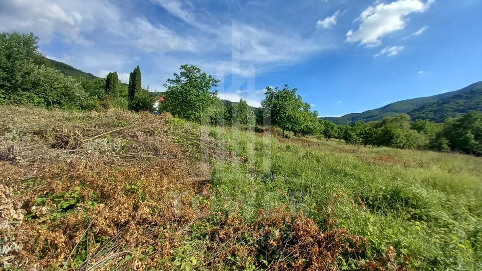 Teren în Fântânele – 3.673 mp, pârâu si cadru natural  deosebit - Poză 12