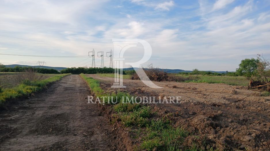 Terenuri intravilane | 500–569 m² | Fughiu | Oșorhei - Poză 2
