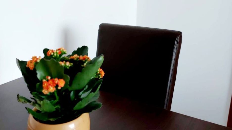 Apartament 2 camere Drumul Taberei Parc Moghioros - Poză 8