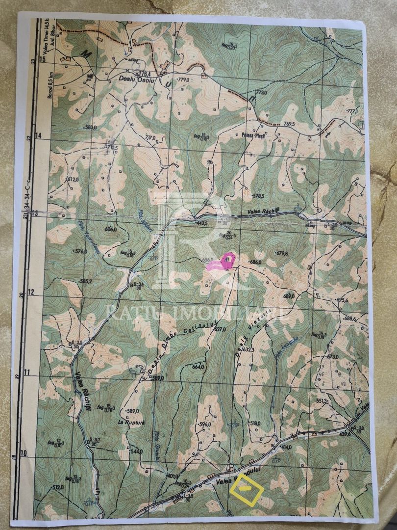 Teren Partial Intravilan | 3 ha | Serani | Bihor - Poză 2