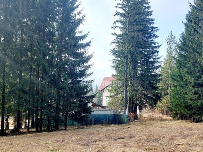 Teren intravilan în Poiana Brașov 1404 mp, str. Poiana Ruia - Poză 4