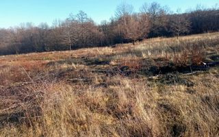 Teren extravilan | Vicovu de Jos | Preț 33.000 | Negociabil - Poză 5