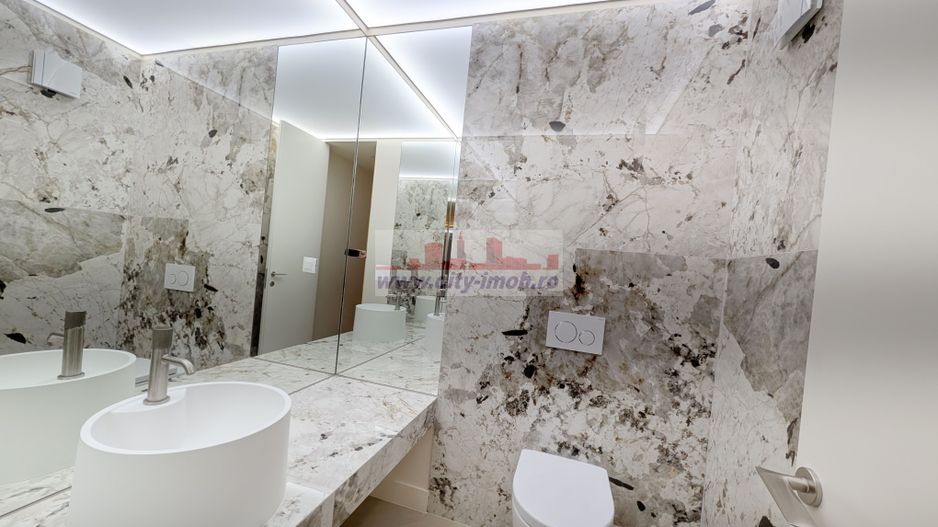 Innhiriere Penthouse Iancu Nicolae Gradina Zoologica - Poză 30