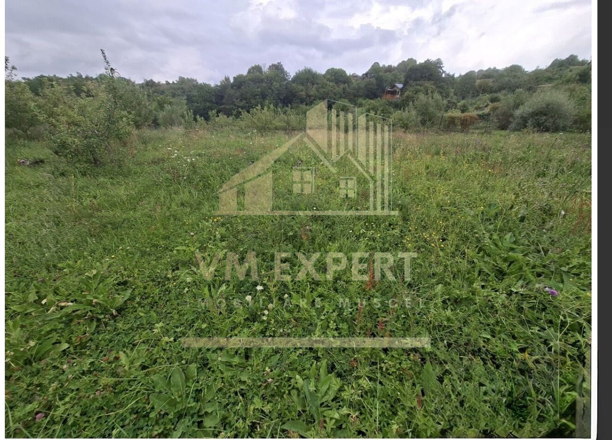 TEREN 20.621 MP CAMPULUNG - Poză 6