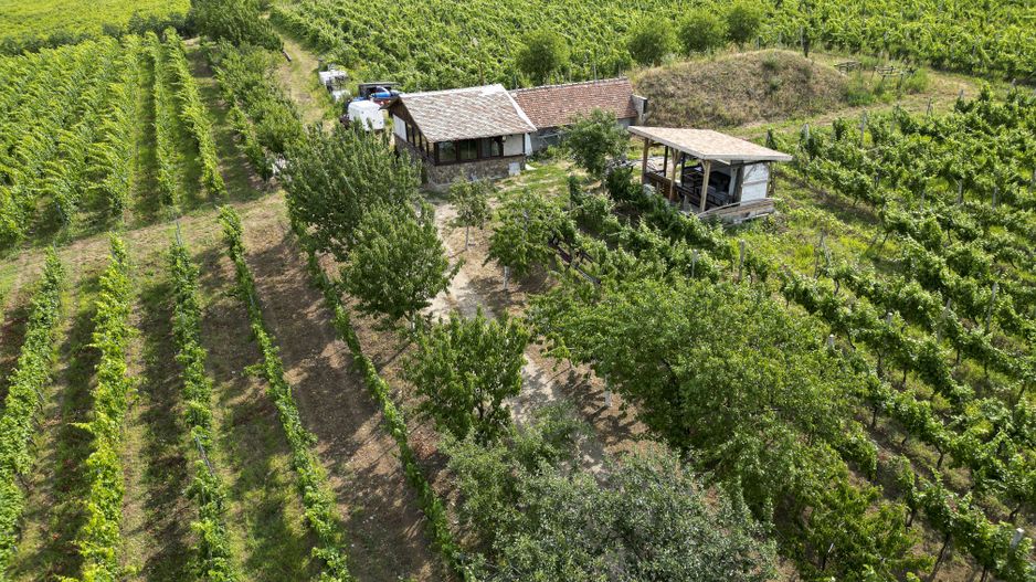 Vie Tradițională „Halta Lupilor” - Poză 46