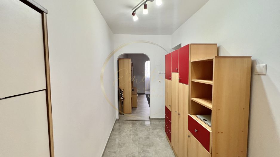 SUPER PRET | Apartament cu 1 camera | Sagului , Timisoara - Poză 7