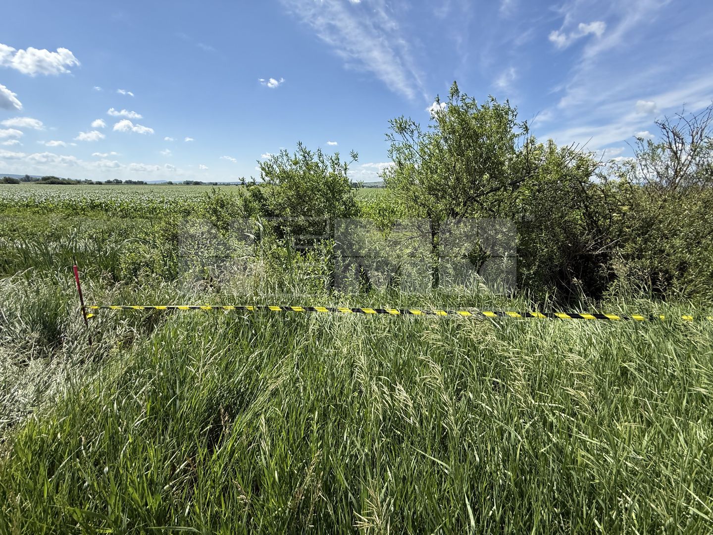 Teren extravilan de vânzare | Rădăuți | 4.000 mp - Poză 6