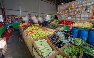 CET -Vanzare Complex Comercial Piața Cet Constanta - Poză 21