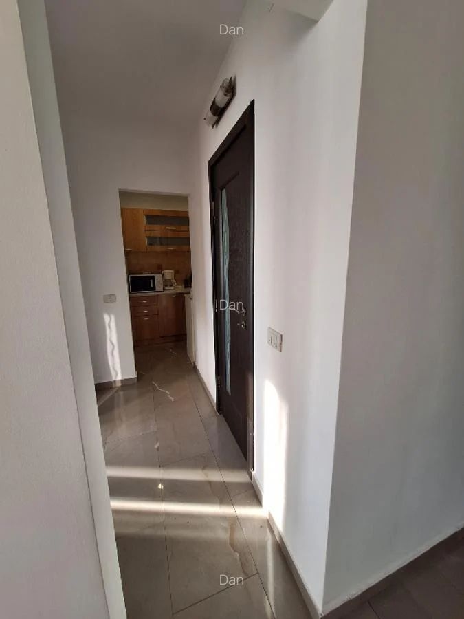 Apartament luminos Sala Palatului - Poză 7