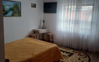 Vila cu garaj și panouri fotovoltaice în Galata, Iași - Poză 3